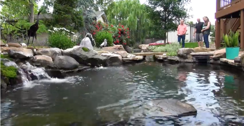 Kansas Pond Society Water Gardens